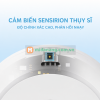Nhiệt kế và ẩm kế Xiaomi Qingping Lite