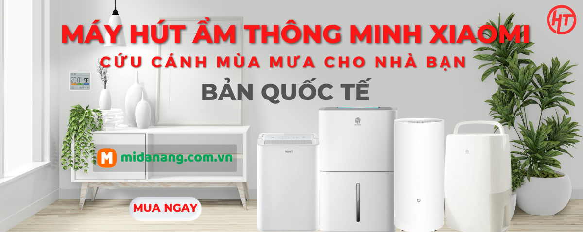Máy hút ẩm
